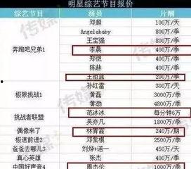 明星价格表